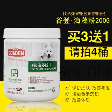 主图海藻风