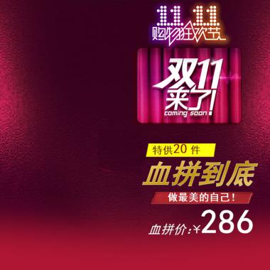 双11 血拼到底