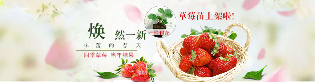 1090*284尺寸