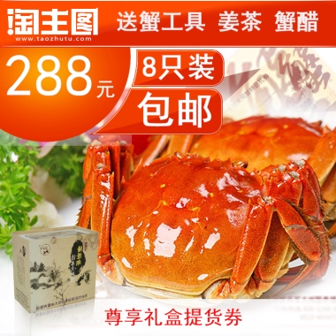 288元8只装包邮尊享礼盒提货券送蟹工具 姜茶 蟹醋
