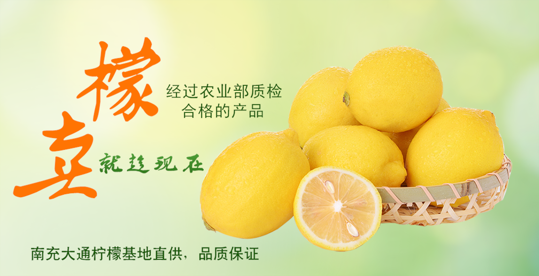 1090*560尺寸