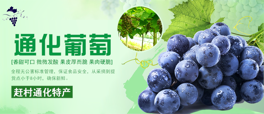 1090*470尺寸