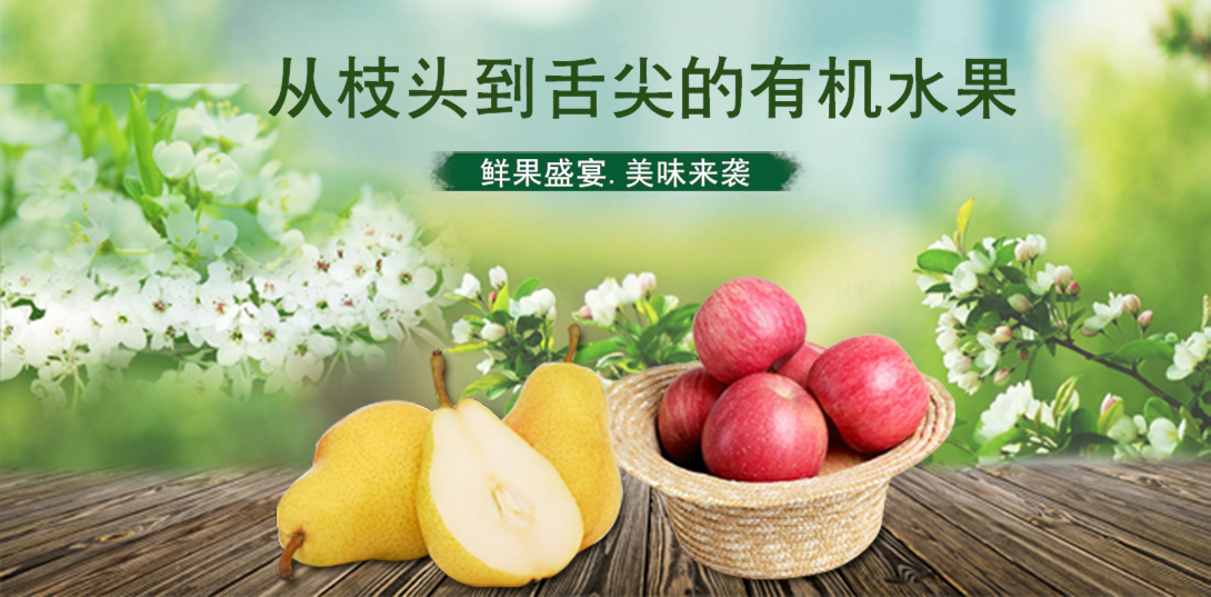 1090*537尺寸