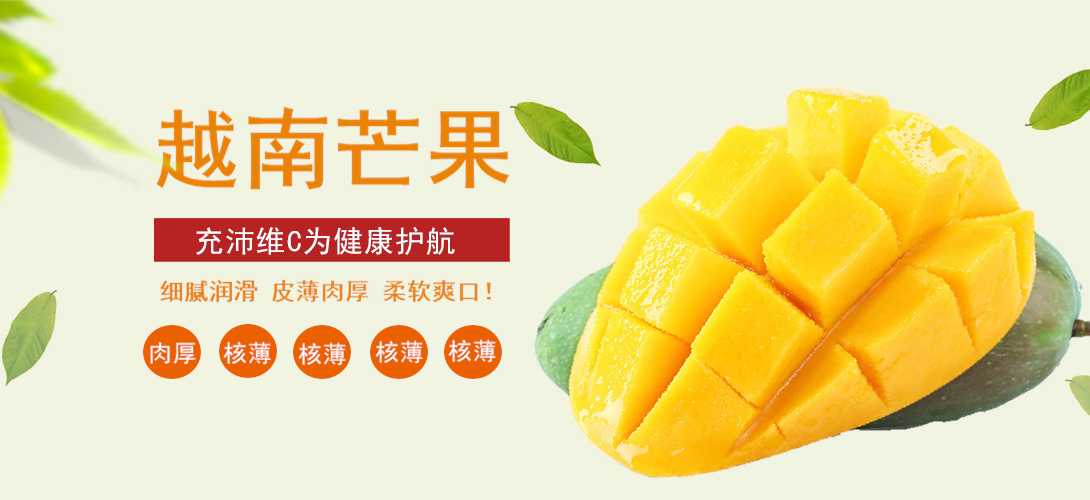 1090*500尺寸
