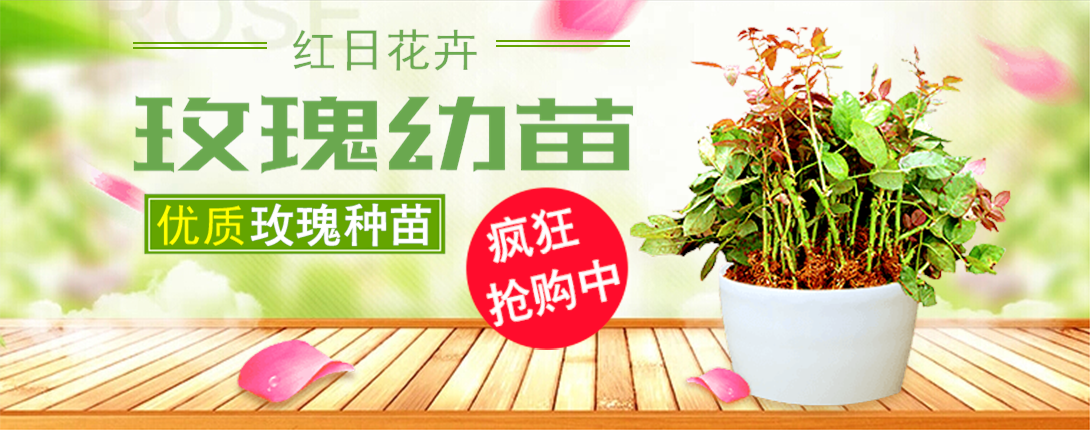 1090*430尺寸