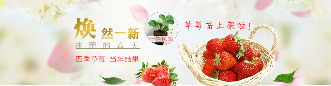 1090*284尺寸
